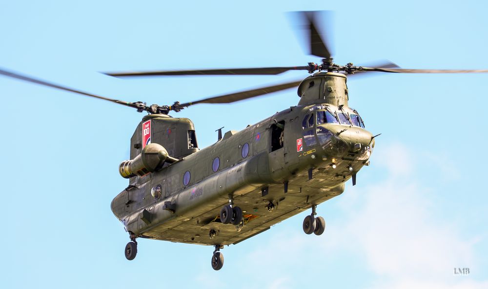 Chinook