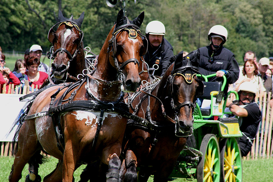 CHIO Aachen 2007