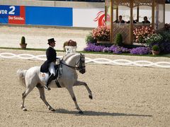 CHIO Aachen 2008 - Spanische Reitkunst 1