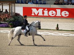 CHIO Aachen 2008 - Spanische Reitkunst 2