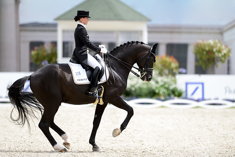 CHIO Aachen 2012 5