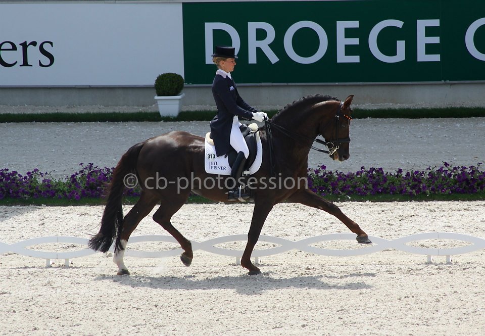 CHIO Aachen 2014, Helen Langehanenberg mir Ihrem Damon Hill