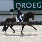 CHIO Aachen 2014, Helen Langehanenberg mir Ihrem Damon Hill