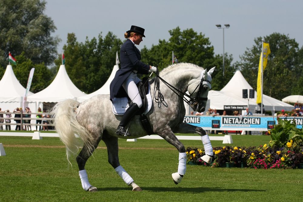 CHIO Aachen 2014 III