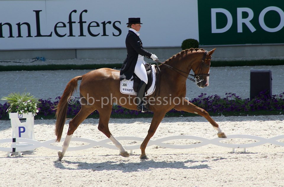 CHIO Aachen 2014, Isabell Werth mit Ihrer Bella Rose