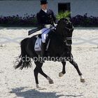 CHIO Aachen 2014, Matthias Alexander Rath mit seinem Totilas