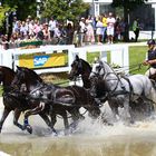 CHIO Aachen 2022, auf der Marathonstrecke