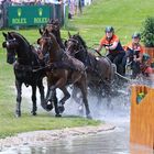 CHIO Aachen 2022 - Gespannfahren