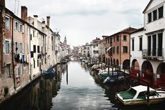 Chioggia