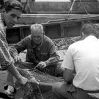 CHIOGGIA 1955-Rammendo delle reti