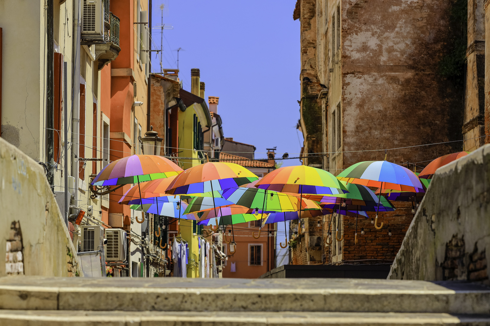 chioggia 