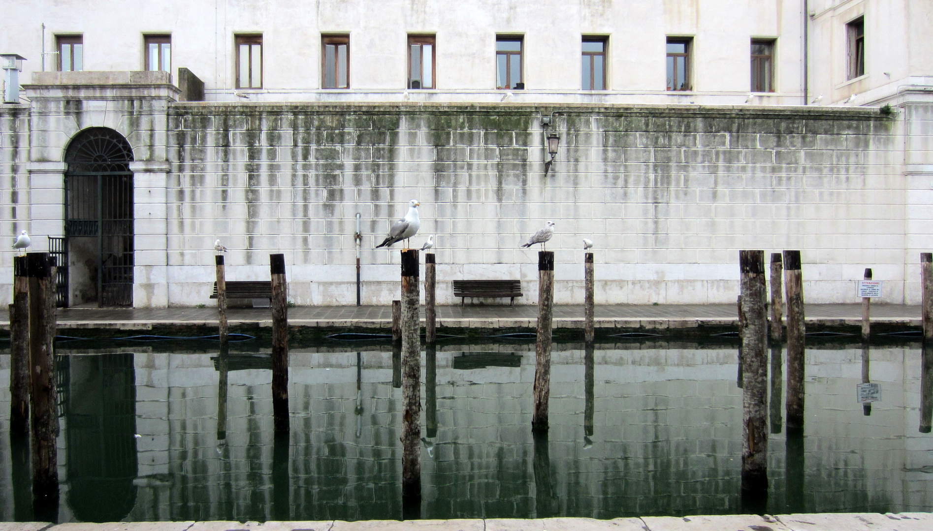 Chioggia