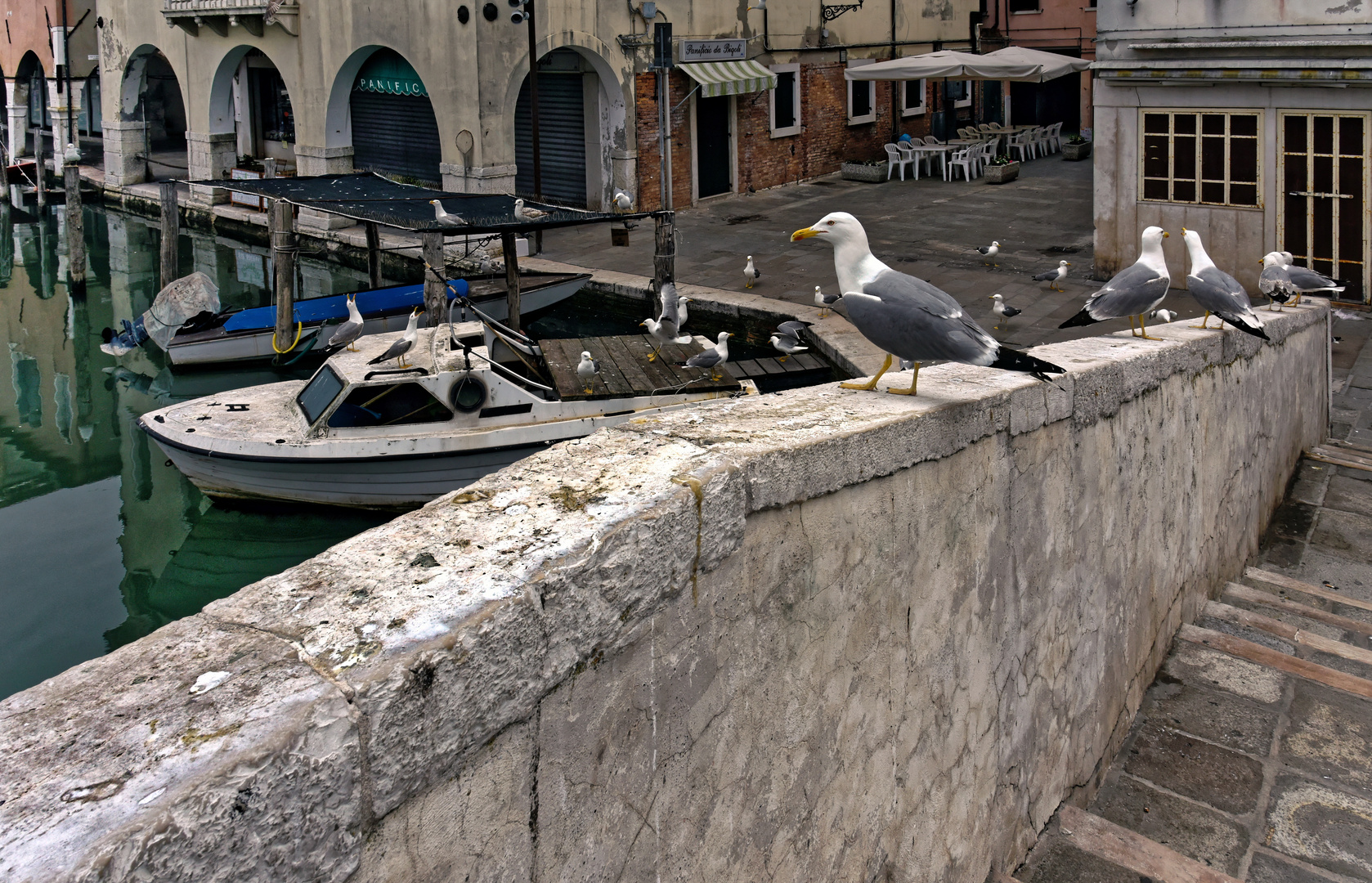 Chioggia