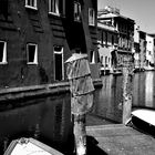 Chioggia