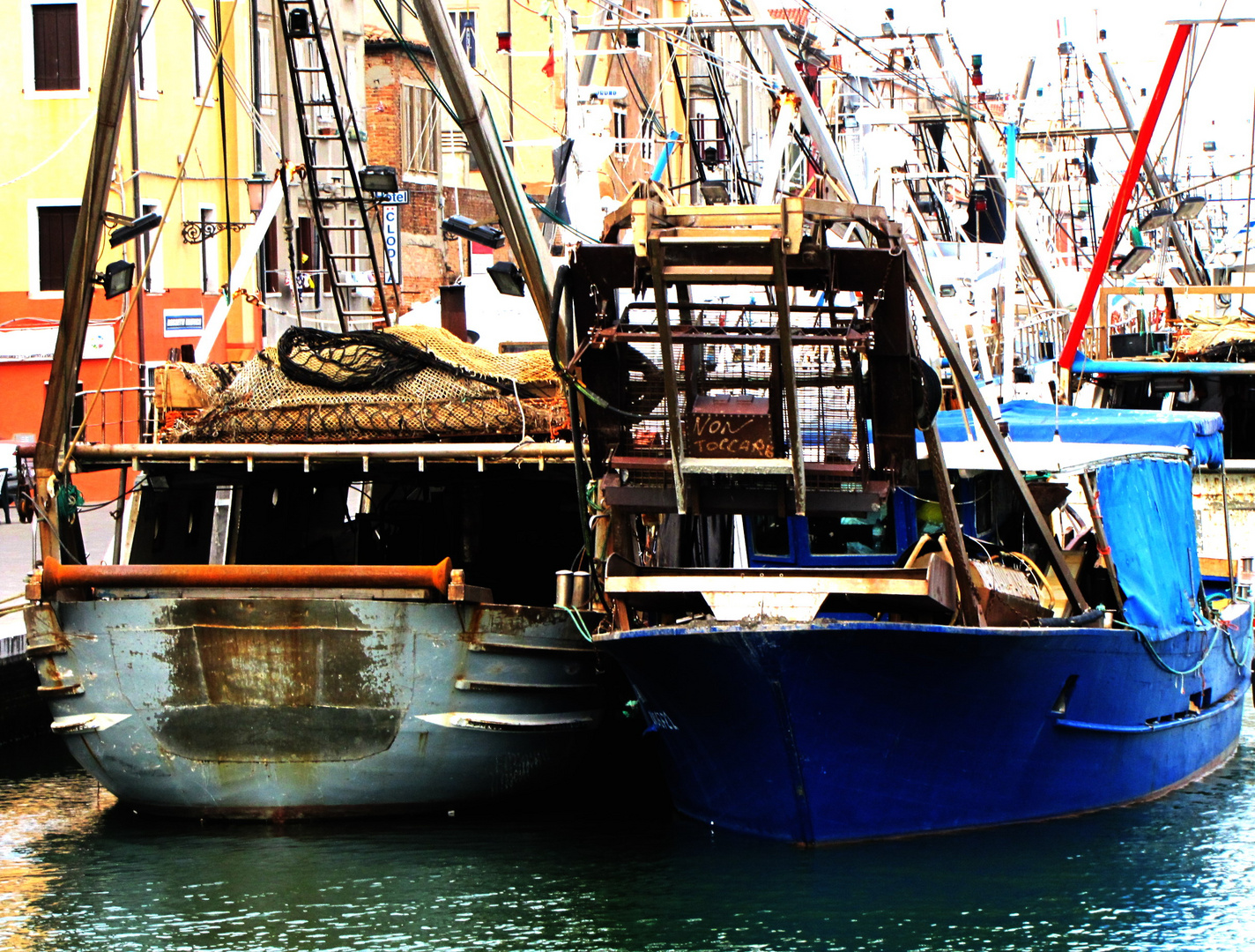 chioggia