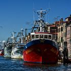 Chioggia