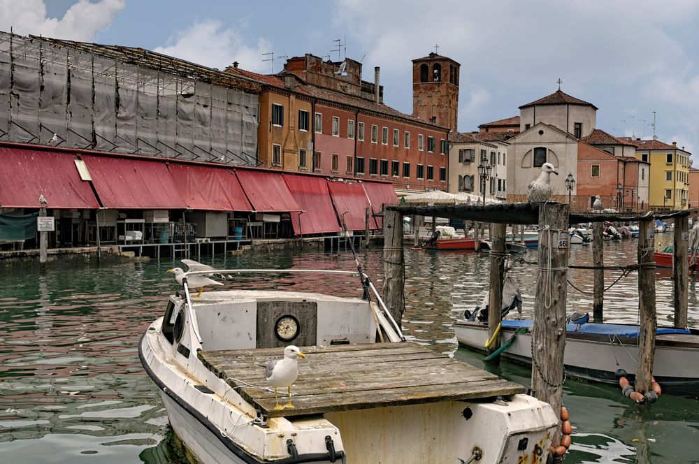 Chioggia am Fischmarkt 