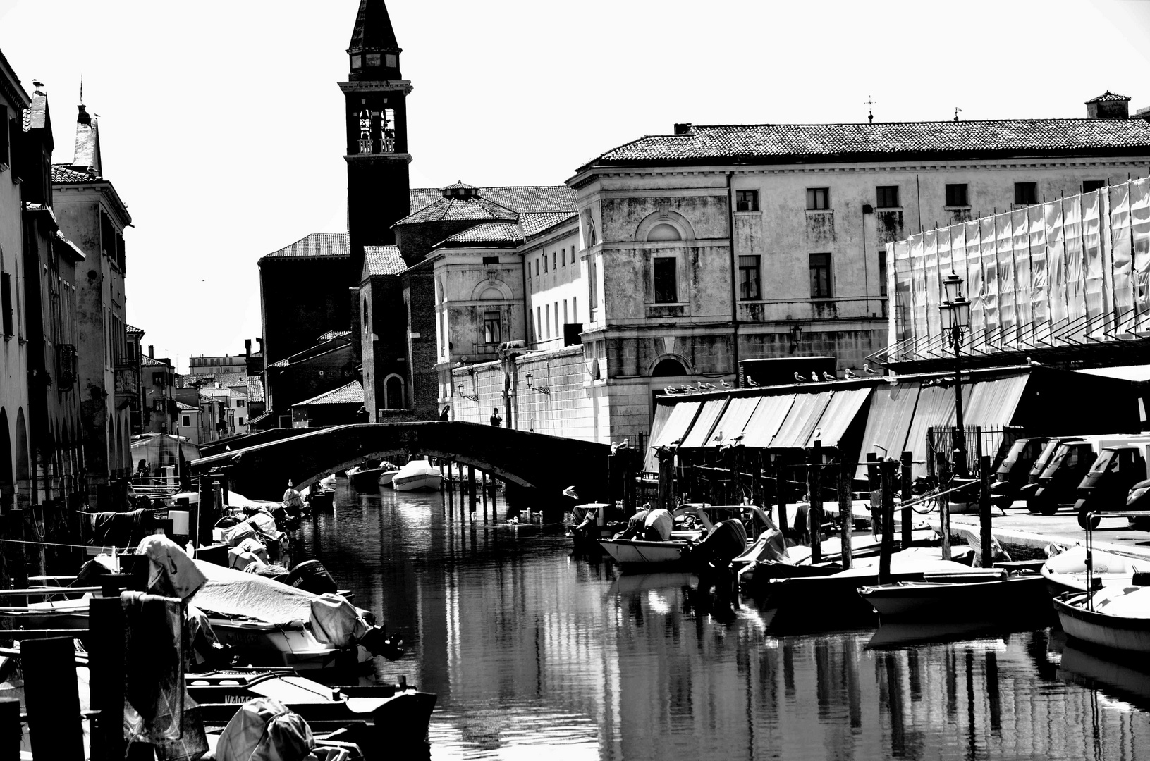 Chioggia