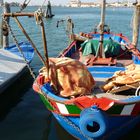 Chioggia