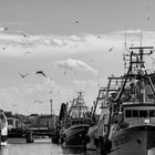 Chioggia