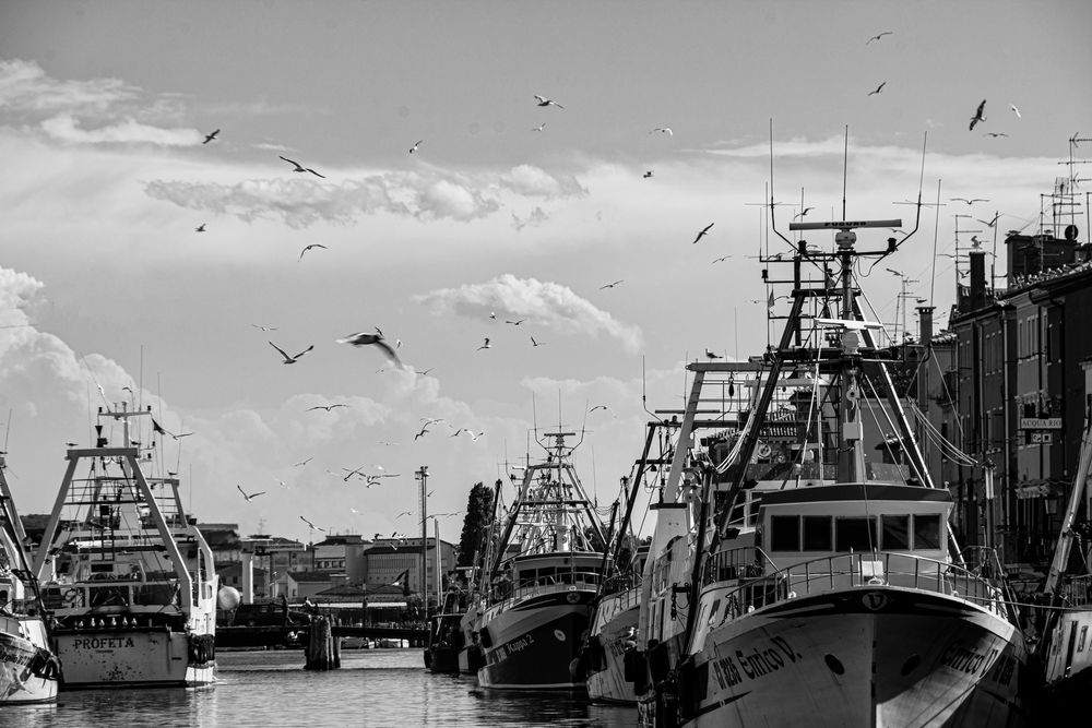 Chioggia