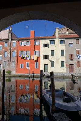 chioggia