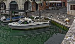 Chioggia - Fischerhafen -