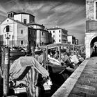 Chioggia II