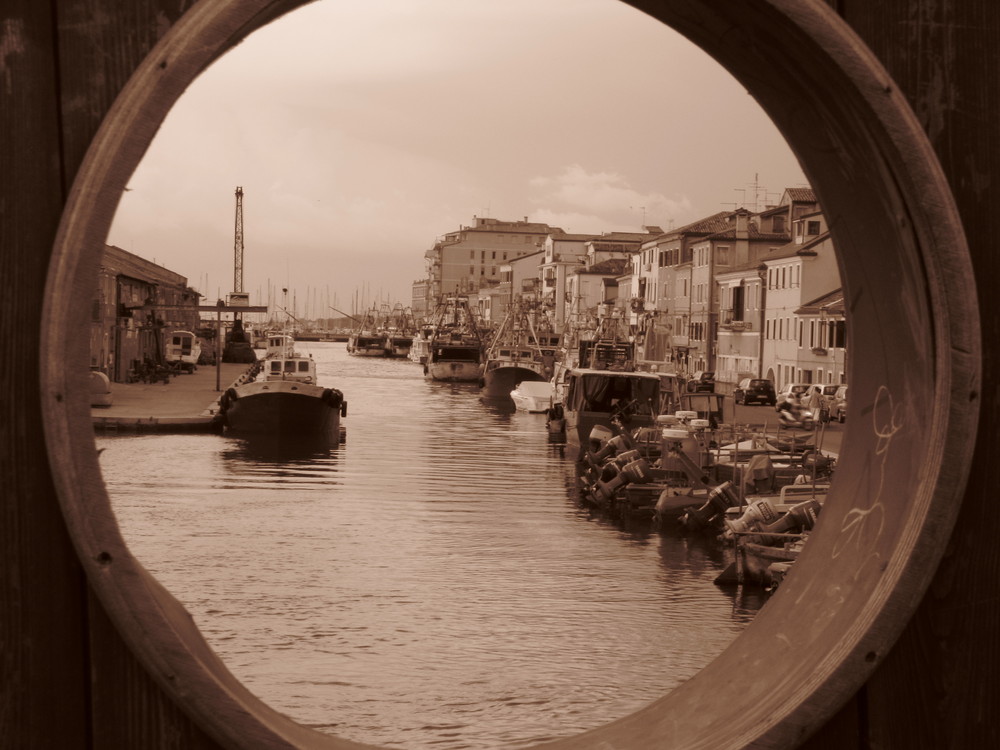 Chioggia in seppia