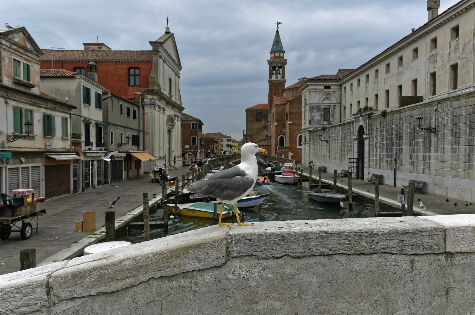 Chioggia -Kleinvenedig genannt