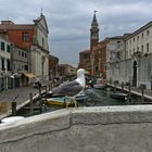 Chioggia -Kleinvenedig genannt