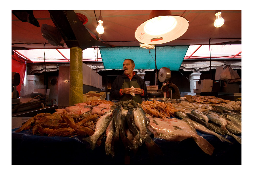 Chioggia : pescheria 1