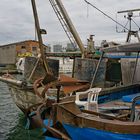  Chioggia  uralte Krabben Fischerboote