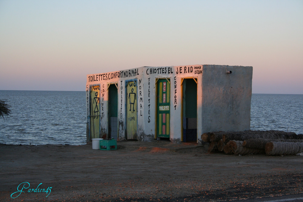 chiottes el jerid