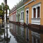 "CHIPI CHIPI" EN ORIZABA