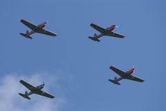 Chipmunk-Formation