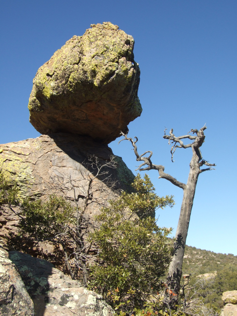 Chiricahua National Monument