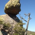 Chiricahua National Monument