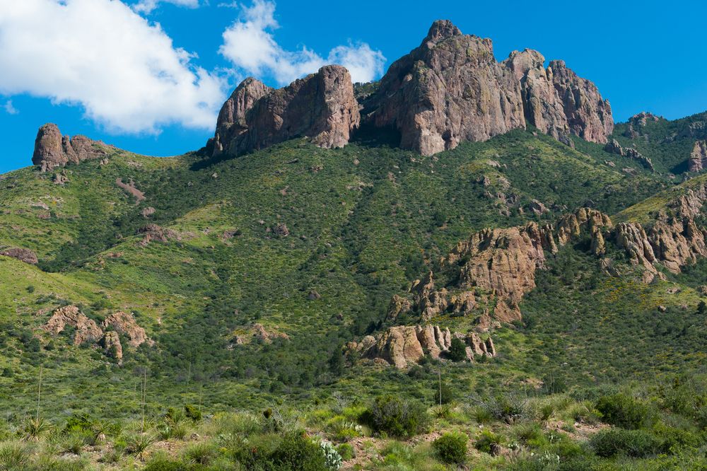 Chisos Basin