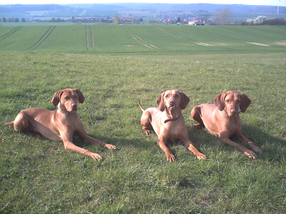 Chita, Mara und Pflegekind Lara