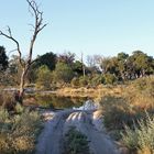 Chitabe, Botswana