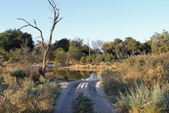 Chitabe, Botswana
