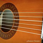 Chitarra classica