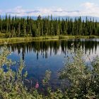 Chitina - McCarthy (Alaska)