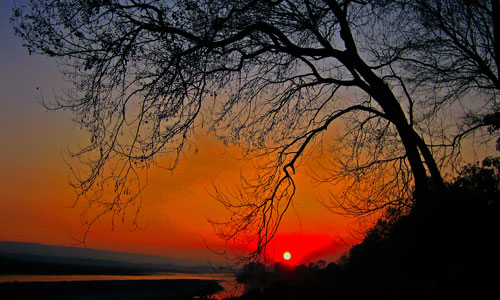 Chitwan National Park