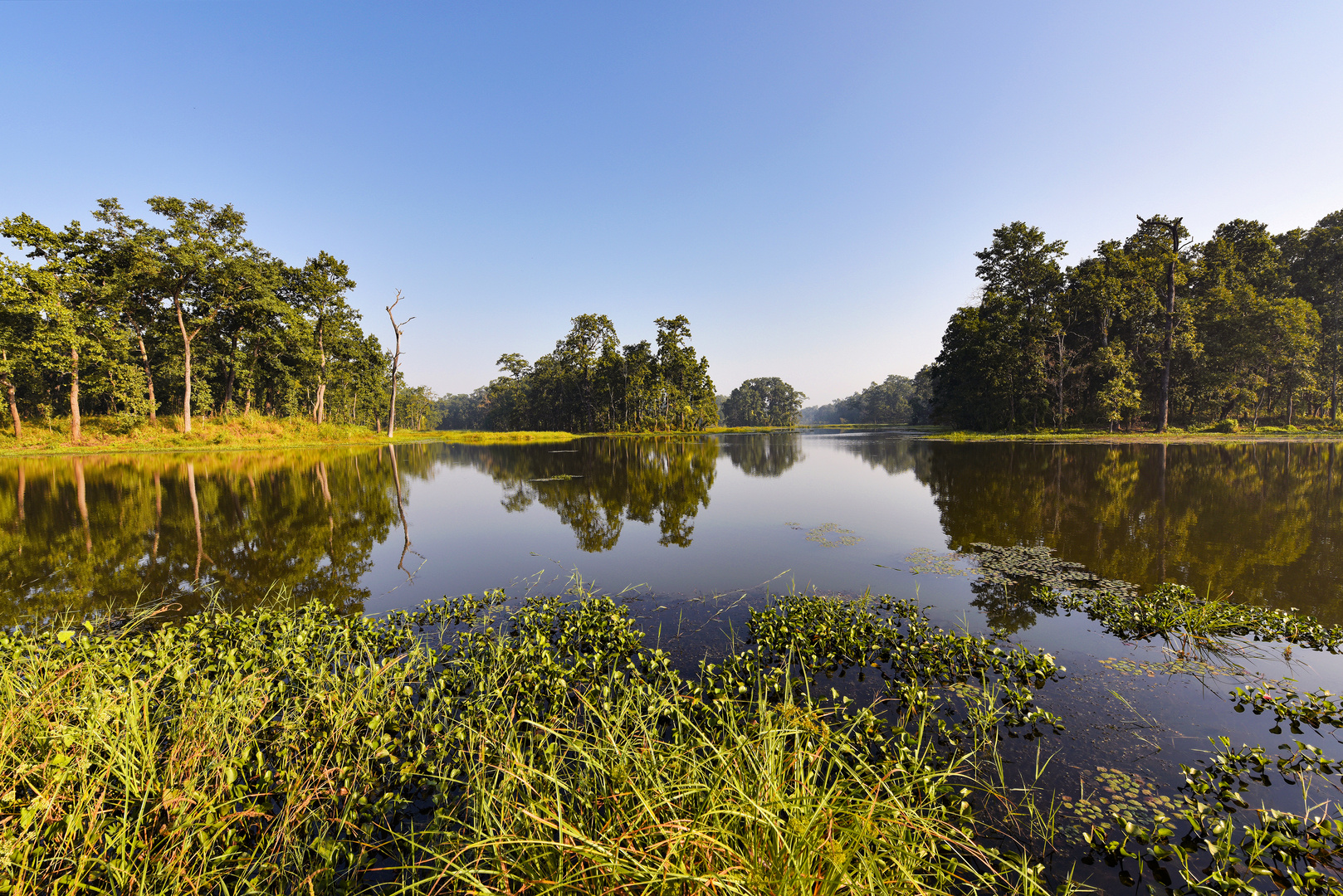 Chitwan-Nationalpark 01