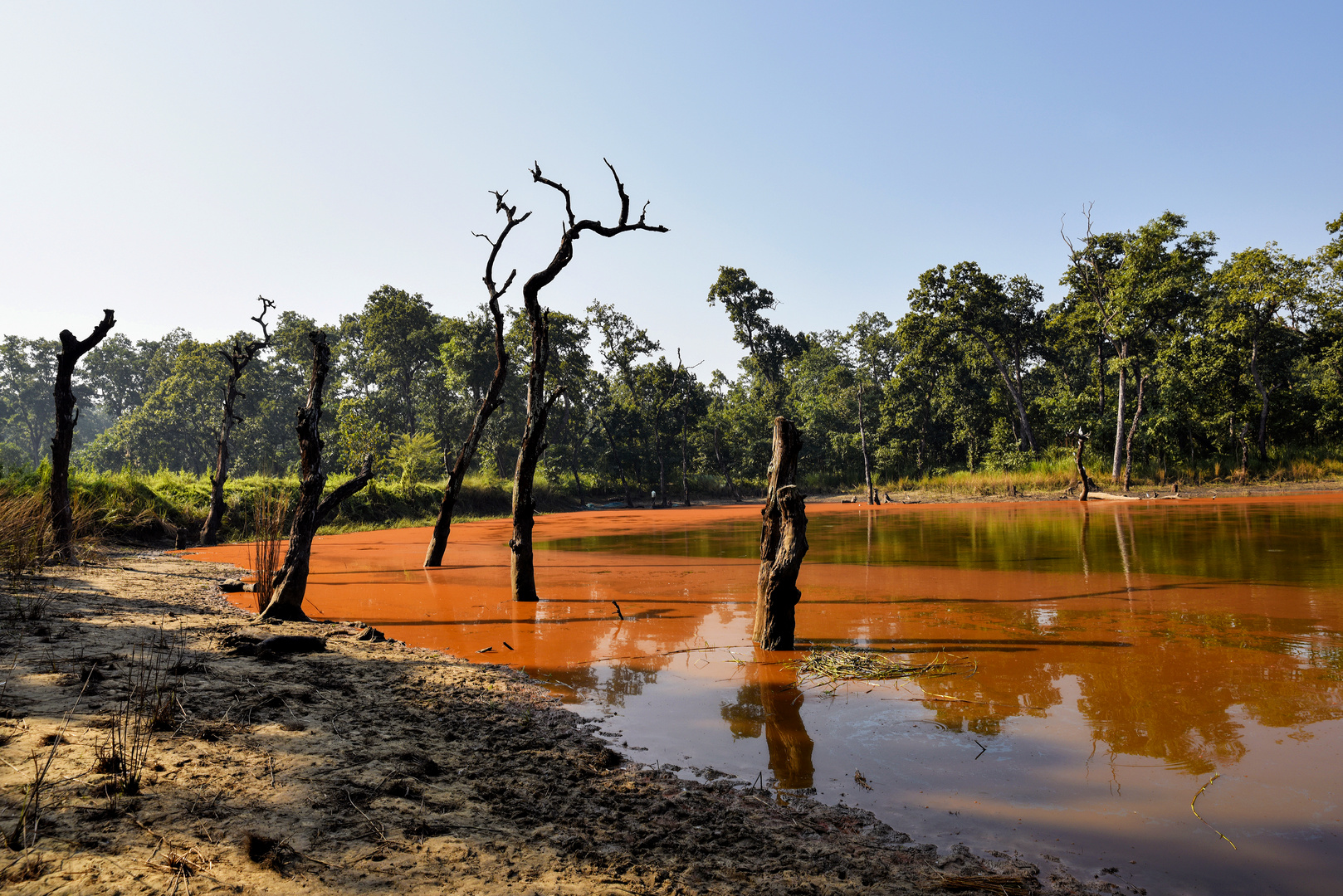 Chitwan-Nationalpark 02