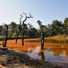 Chitwan-Nationalpark 02