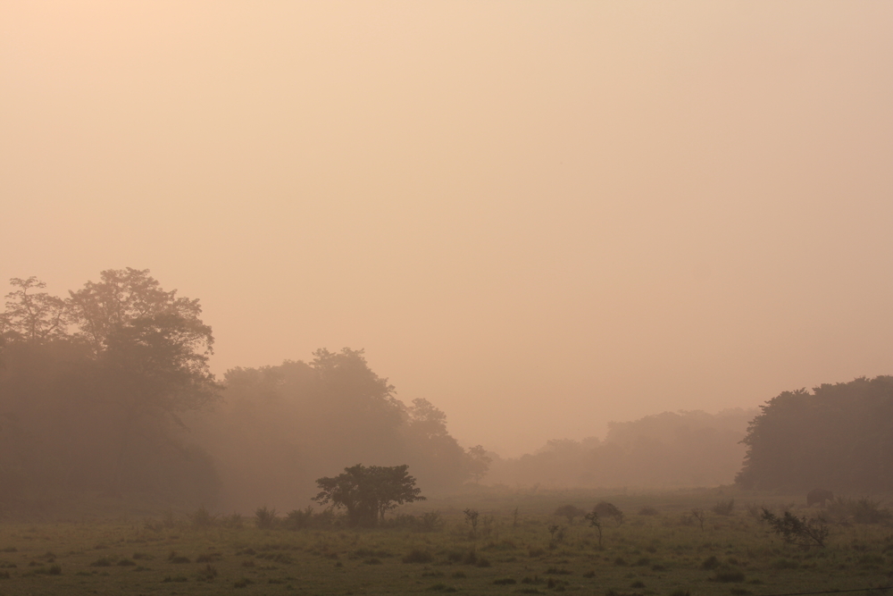 Chitwan-Nationalpark - Abendstimmung