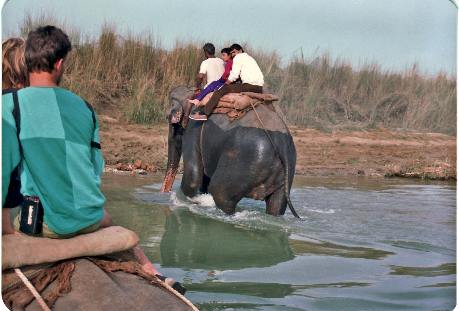 Chitwan Nationalpark Nepal